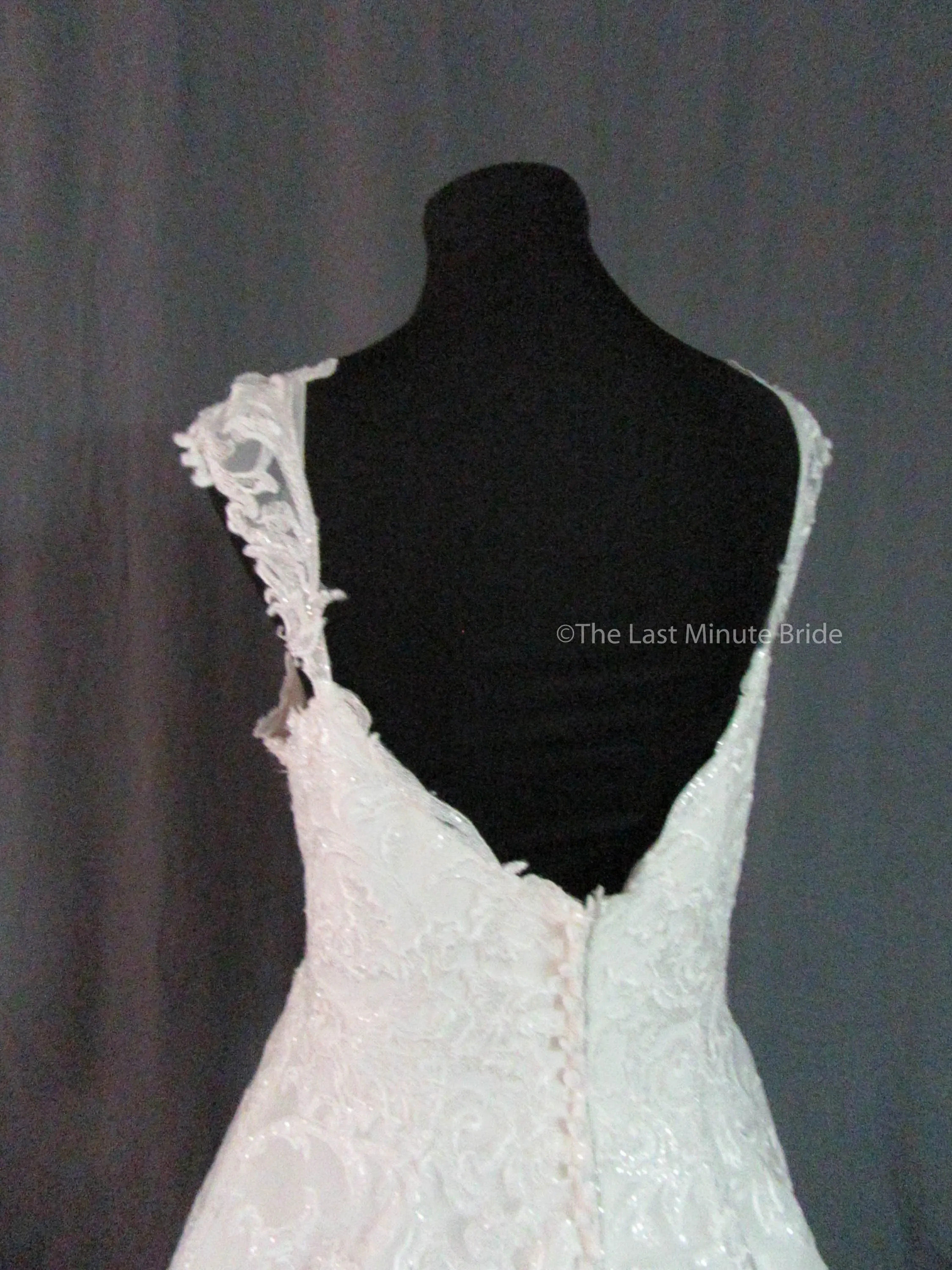 Allure Bridals Style C533