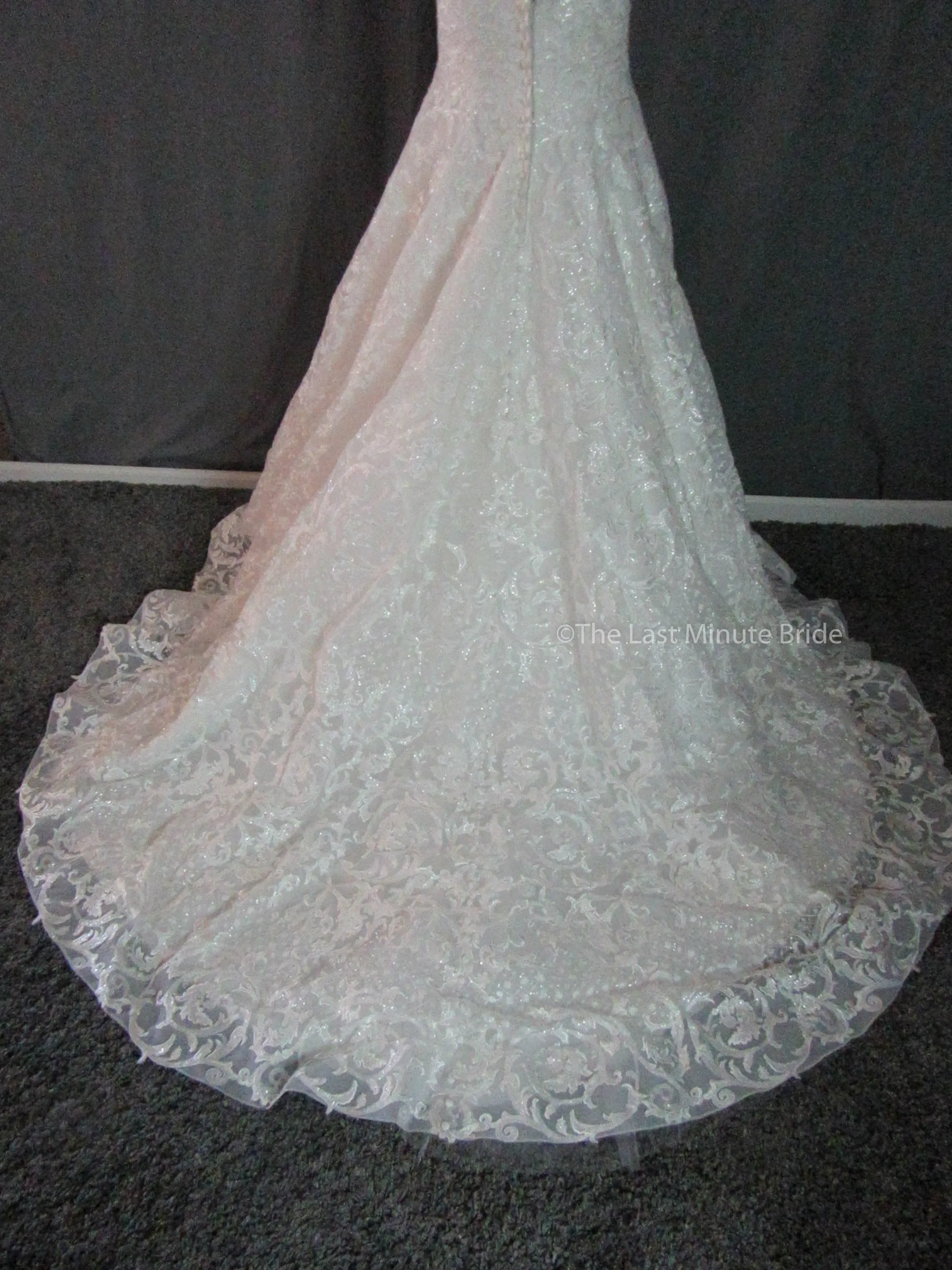 Allure Bridals Style C533