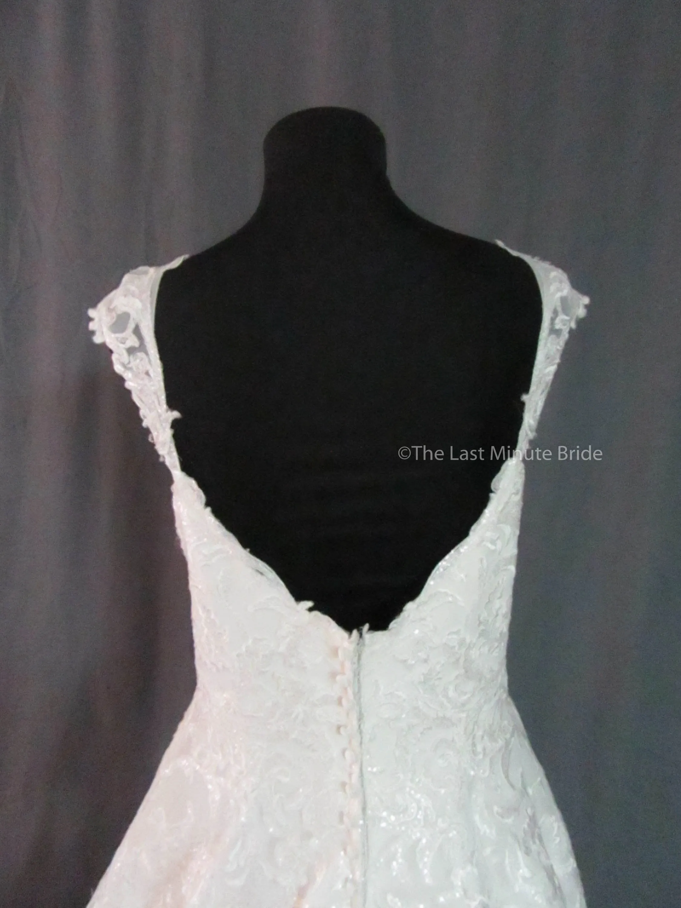 Allure Bridals Style C533