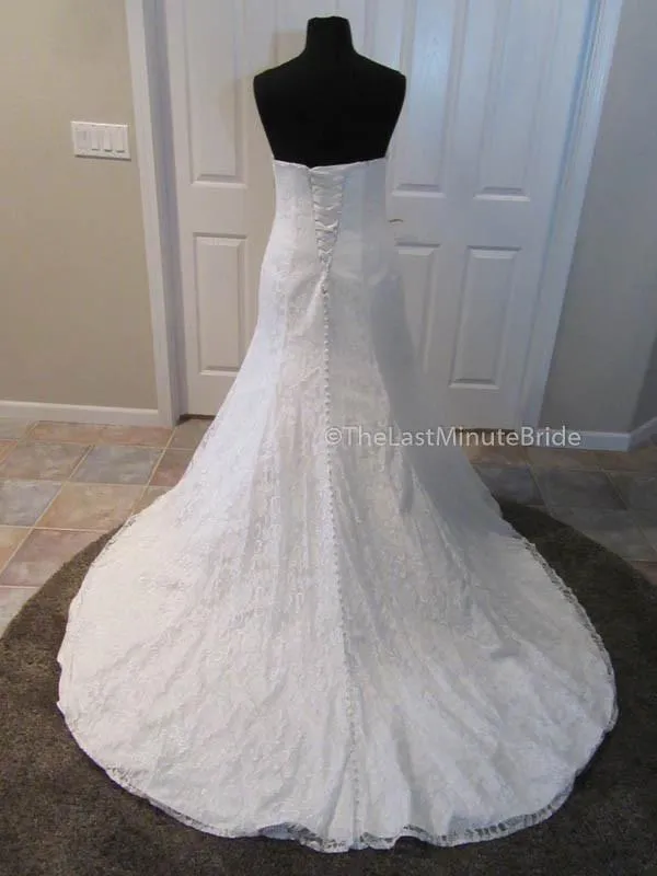 Cara Mia 29257