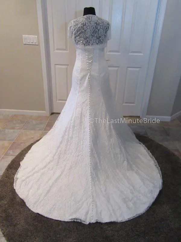 Cara Mia 29257