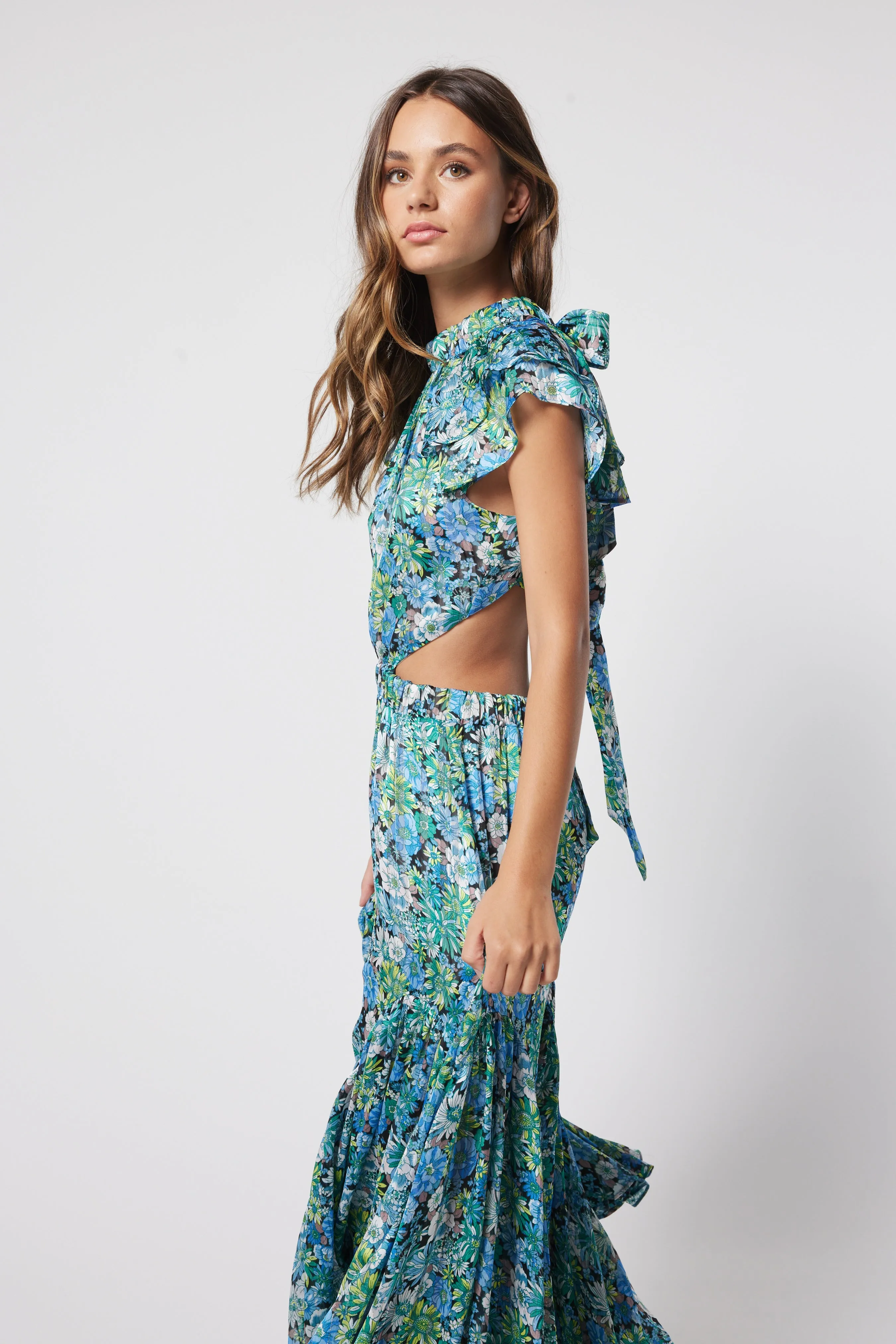 Elliatt Rousham Dress - Multi