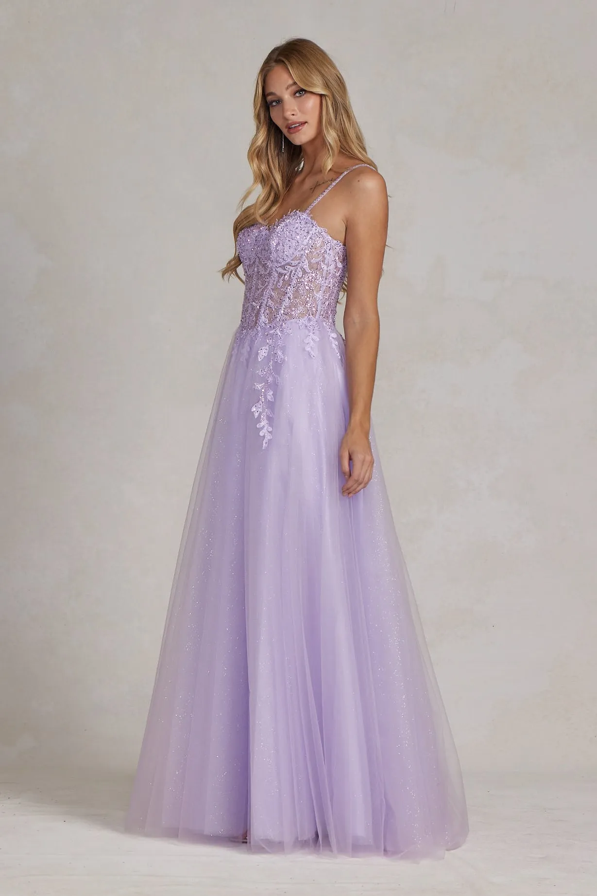 Embroidered Sweetheart Dress_F1087