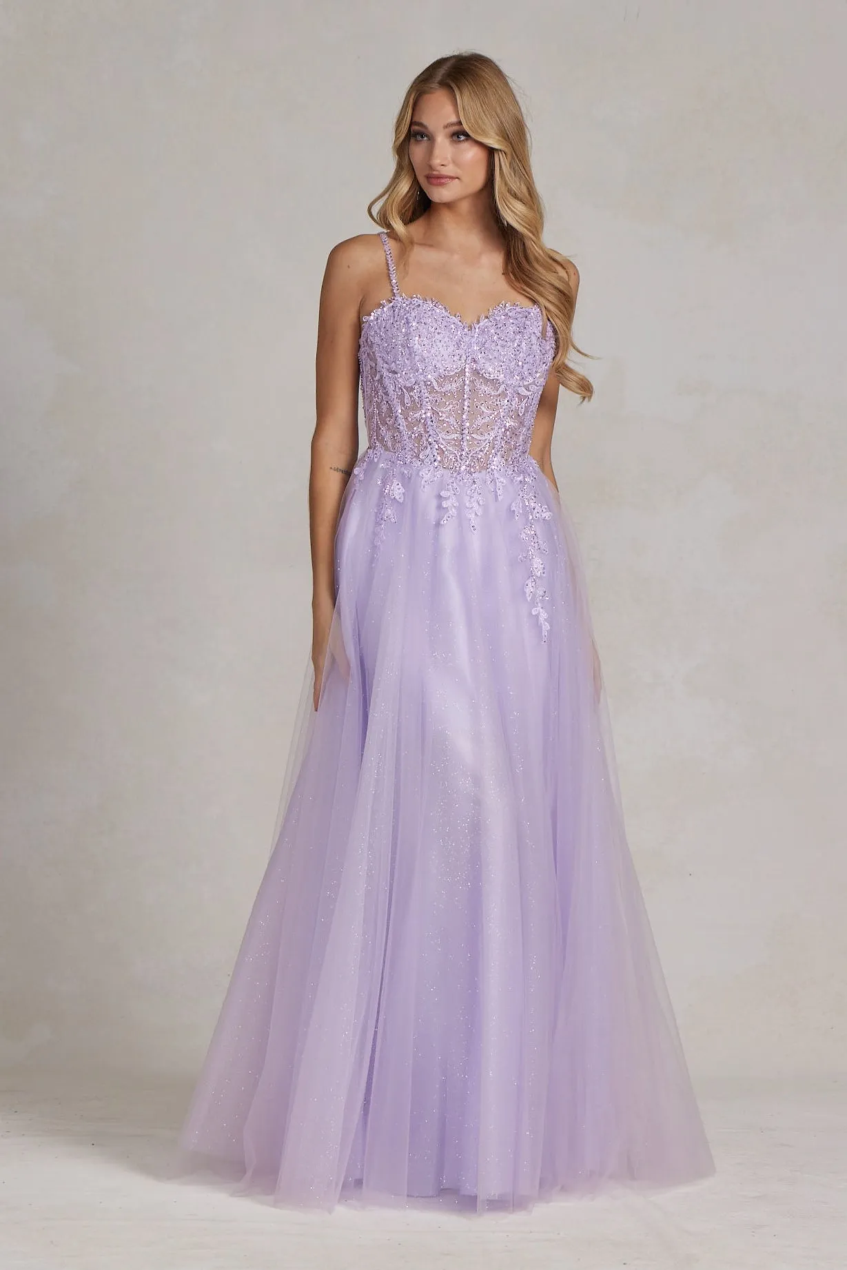 Embroidered Sweetheart Dress_F1087