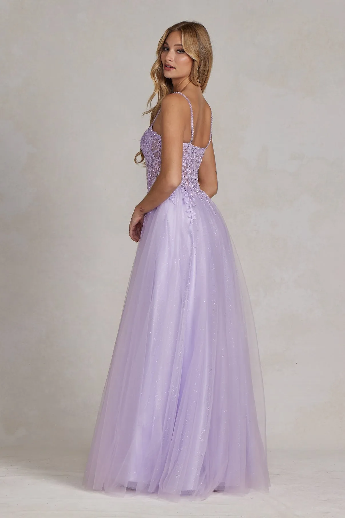 Embroidered Sweetheart Dress_F1087