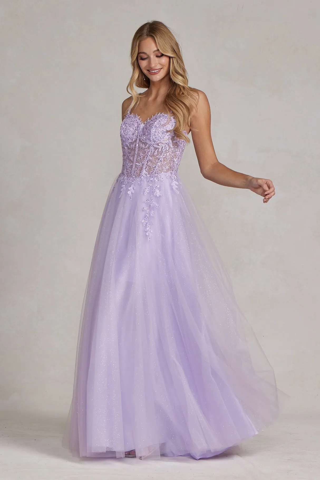 Embroidered Sweetheart Dress_F1087