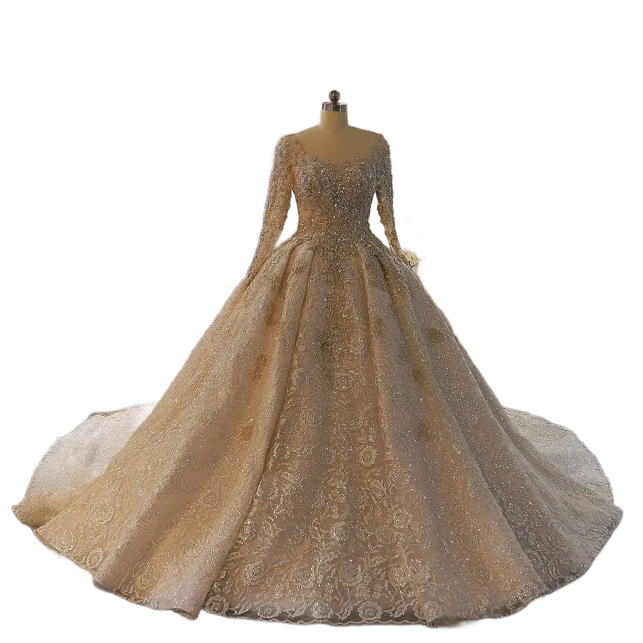 Long Sleeve Affordable Wedding Ballgown Roses Lace Crystals